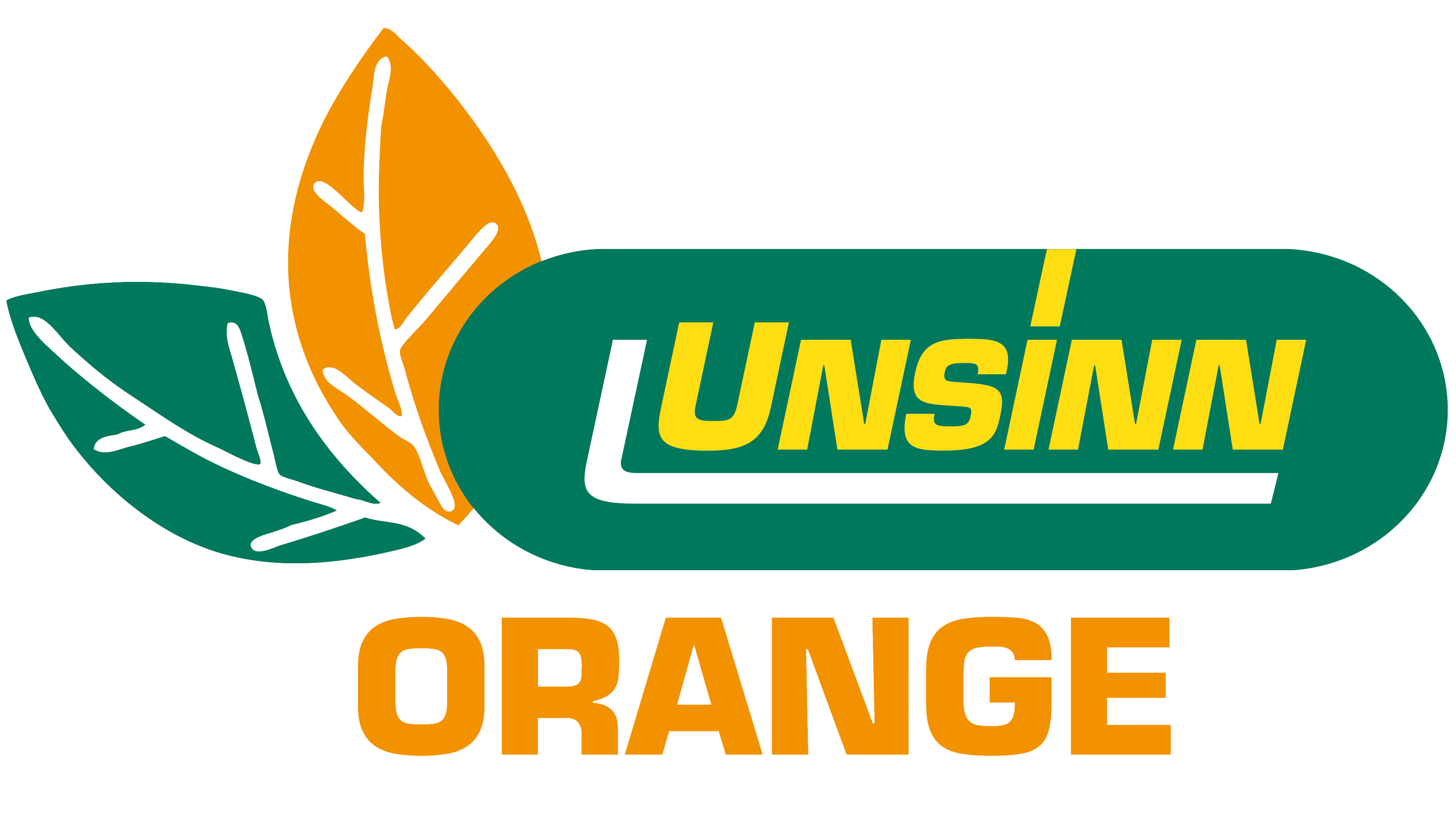 UNSINN Orange Logo 